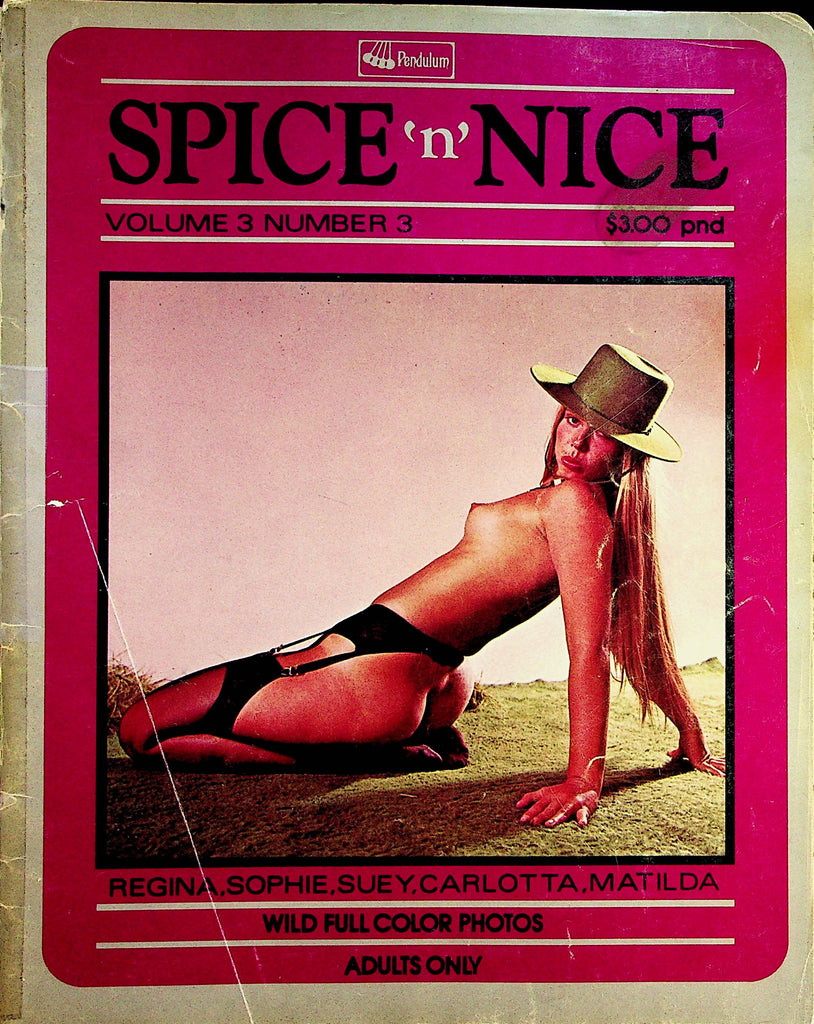 Spice 'N' Nice Magazine   Regina Spreads For You  vol.3 #3  1972      062823lm-p