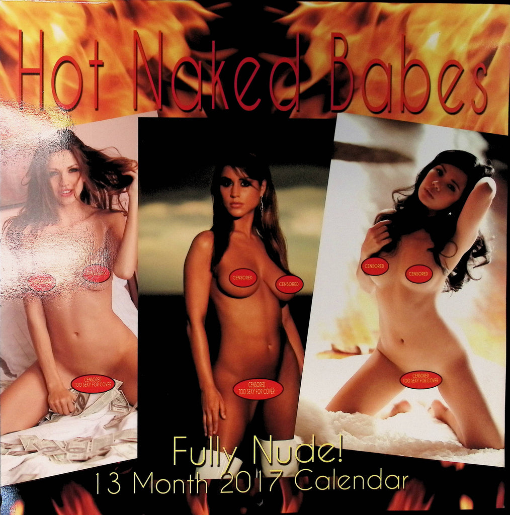 Hot Naked Babes Full Nude 13 Month 2017 12x12" Wall Calendar 050825AMCAL