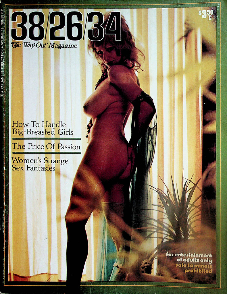38/26/34 Busty Magazine  Arlene  / Roxanne Brewer  vol.11 #2  1974      022224lm-p