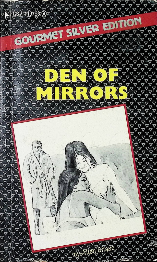 Den of Mirrors by Allen Chase GSV-119 1985 American Art Enterprises Adult Paperback Novel-081324AMP