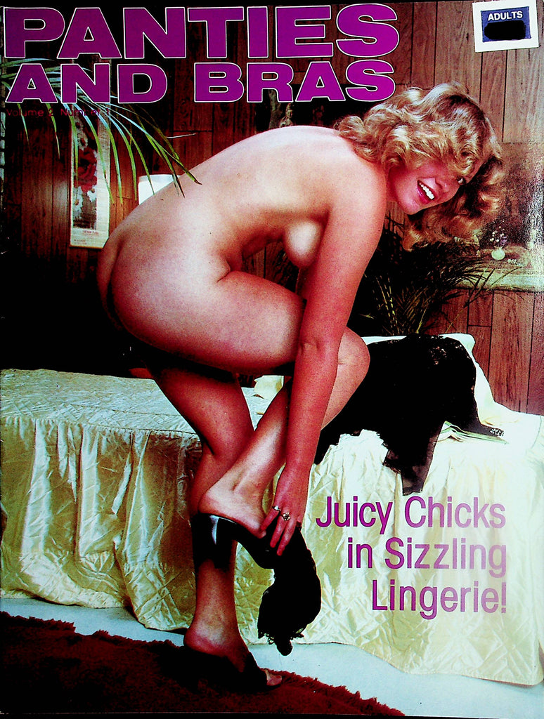 Panties And Bras Magazine  Juicy Chicks In Sizzling Lingerie  vol.2 #1  1985  112923lm-p
