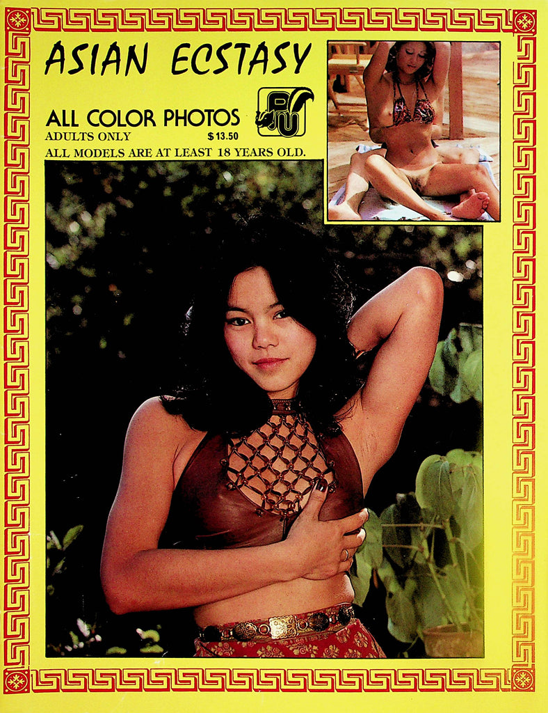 Asian Ecstasy Magazine   Exotic Meena Likes To Fuck!  #1 1980's     112223lm-p