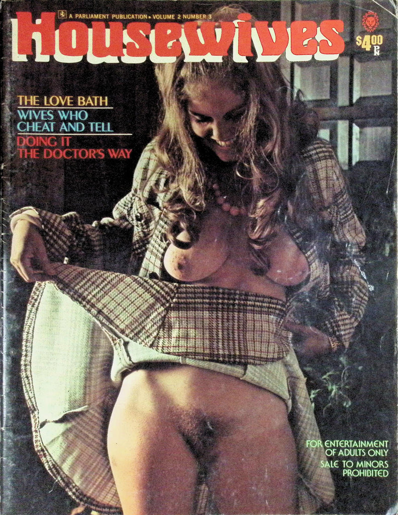 Housewives Magazine Vol 2 #3 1975 Wives Who Cheat and Tell  101526LLP