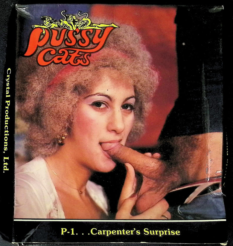 Pussy Cats #1 Carpenter's Surprise 8mm Film Reel Vintage 060126AKVHS