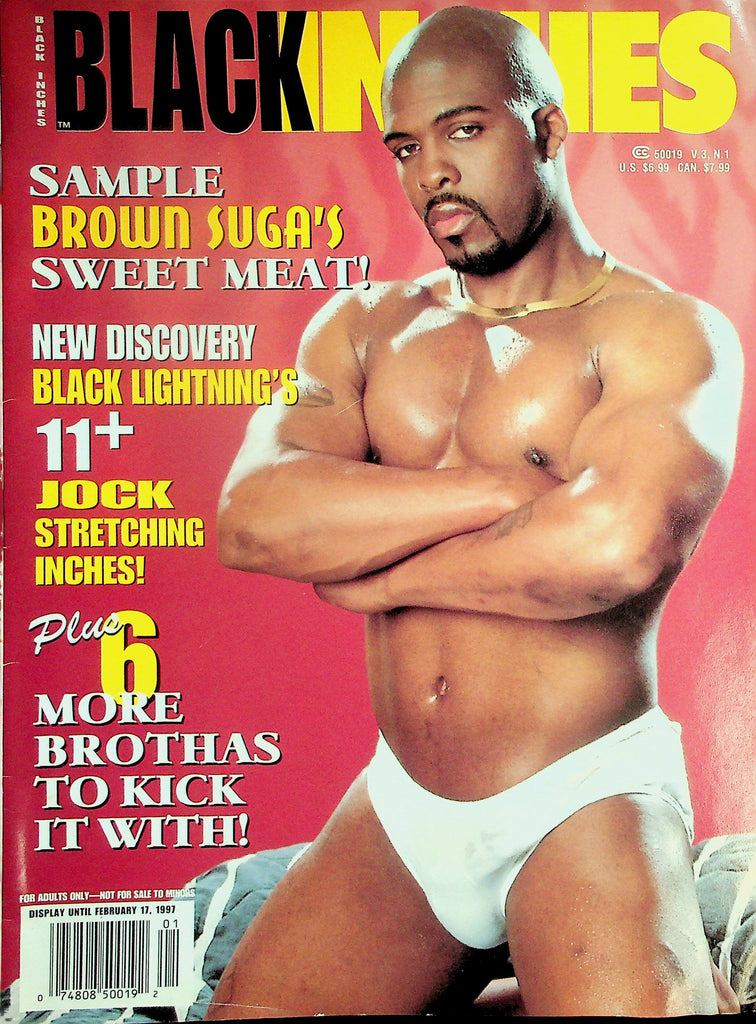 Black Inches Gay Magazine  Coverguy Brown Suga   vol.3 #1  1996  101926lmp-GSC