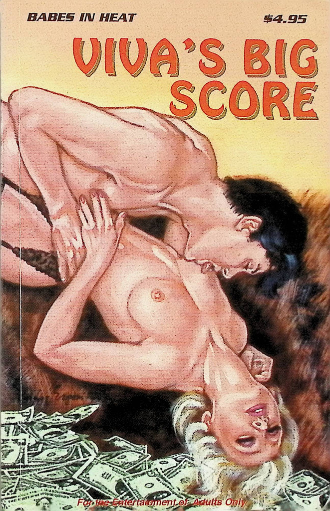 Viva's Big Score Babes in Heat BH-108 Star Distributors Adult Paperback Novel-091124AMP