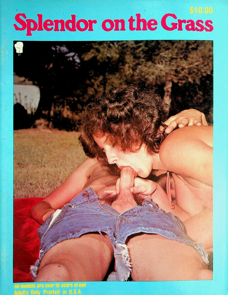 Spendor On The Grass Magazine  Making Love At The Park  #1  1980's   060126lmp-GSC