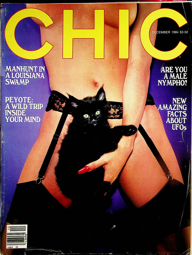 Chic Magazine  Covergirl Robyn - Dawn Of Desire  December 1984     121823lm-p2