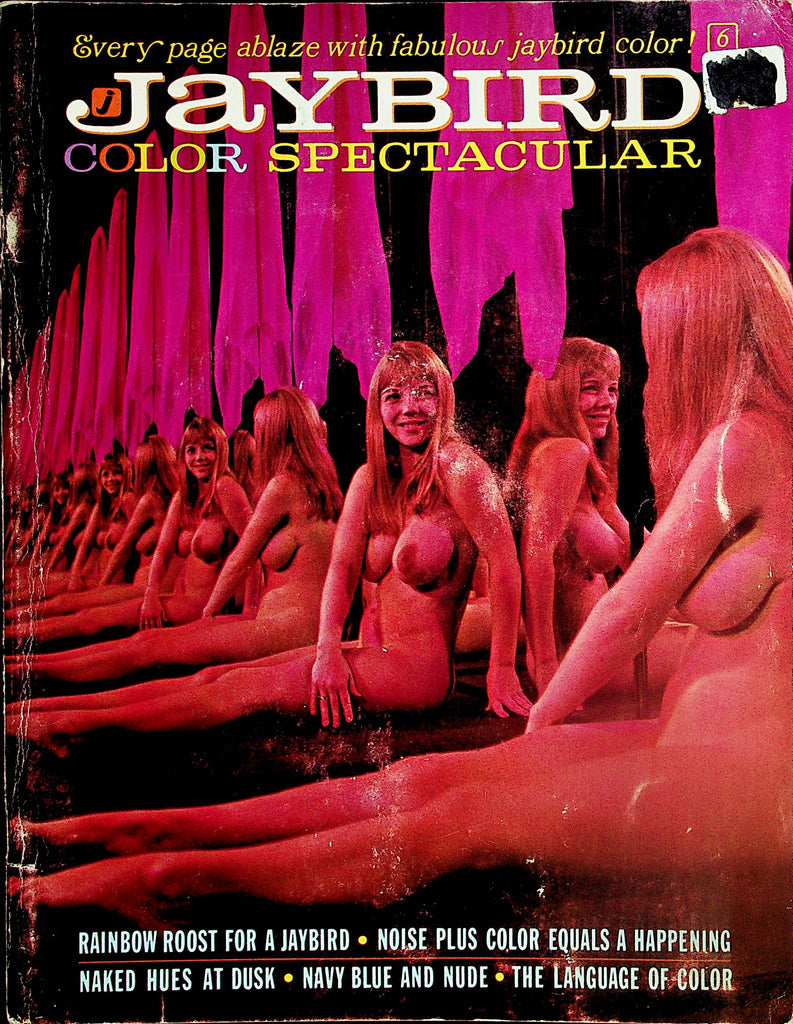 Jaybird Color Spectacular Nudist Magazine  Naked Hues At Dusk  #6 1967   052524lm-p