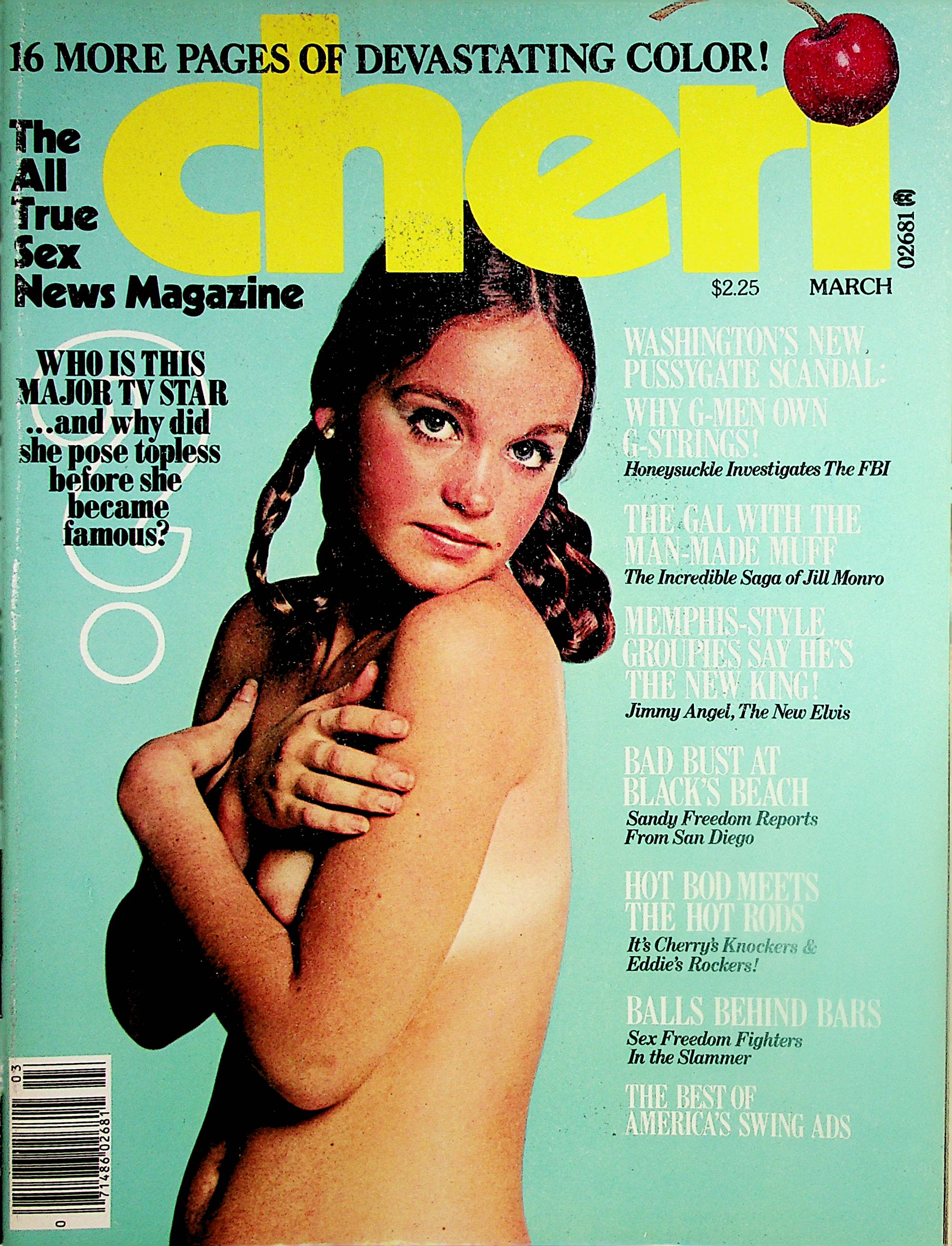 Cheri Magazine Covergirl Pamela Sue Martin March 1978 020624lm-p2 –  Mr-Magazine