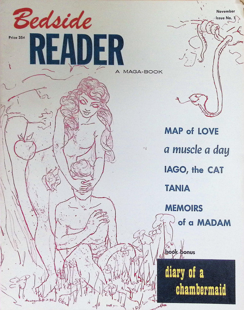 Bedside Reader Magazine Vol 1 #1 1970's,  A Maga-Book Diary of a Chambermaid 090826LLP