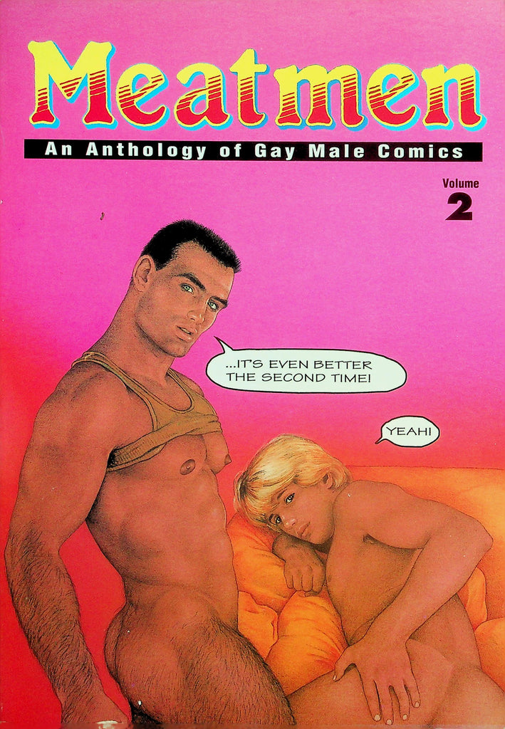 Meatmen An Anthology Of Gay Male Comics Book  vol.2 1997 by Winston Leland   060126lmp-GSC