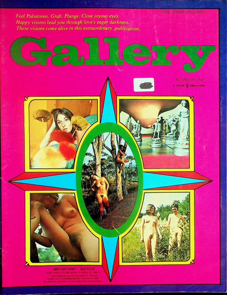 Gallery Magazine  Love's Eager Darkness  #1 1969    102326lmp-GSC