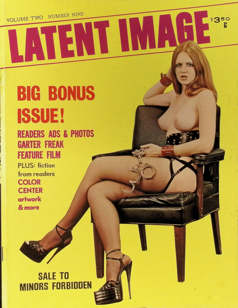 Latent Image Vol 2 #9 Magazine Bondage BDSM Fetish Latex Leather Lingerie & more  100125AMP