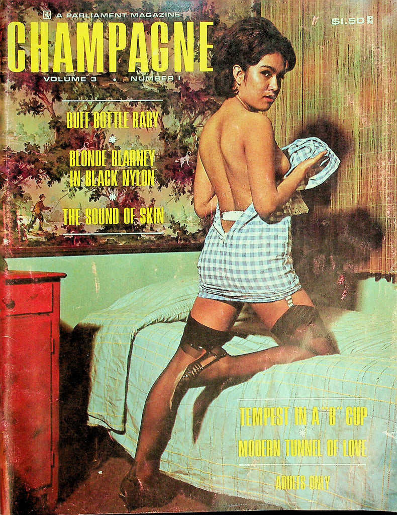 Champagne Magazine  Covergirl Audrey-A Bare In Her Lair  vol.3 #1  1965  101226lmp-GSC