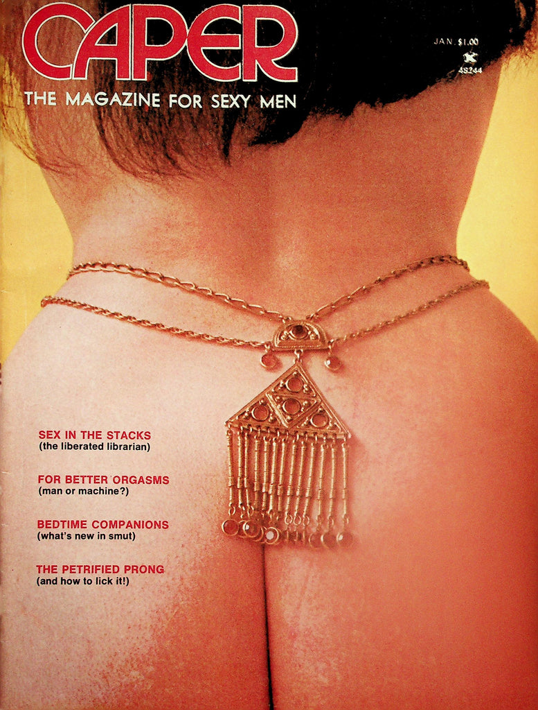 Caper Magazine  Centerfold Busty Terry  January 1973   112525lmp