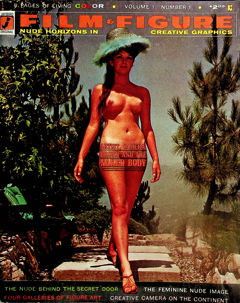 Film Figure Nudist Magazine   The Nude Behind The Secret Door  vol.1 #1  Fall 1965     060624lm-p