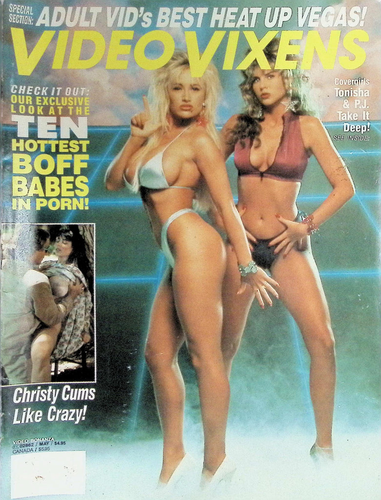 Video Vixens Magazine May 1993 Ten Hottest Boff Babes in Porn  101526LLP