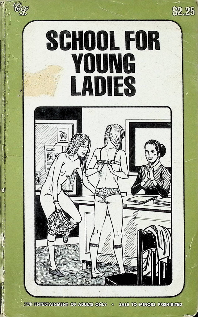 18+ School for Young Ladies by Terry Bryant CL-1035 1976 Star Distributors Adult Paperback Novel-080624AMP