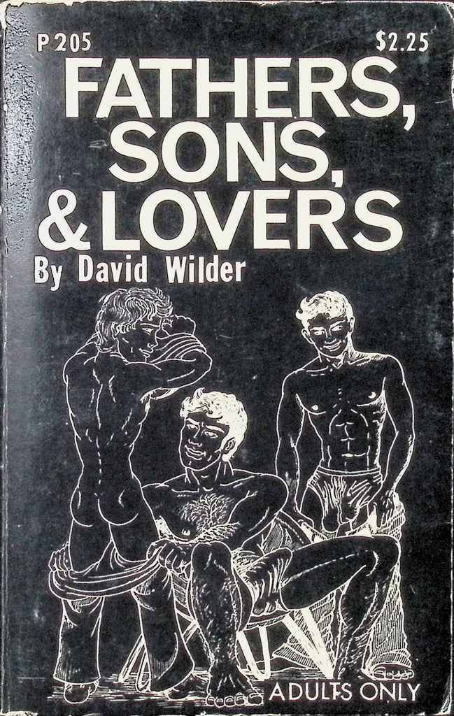 Fathers, Sons & lovers by David Wilder P205 Parisian Press Adult Paperback Novel-082724AMP