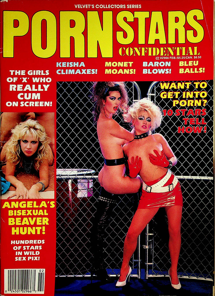 Porn Stars Confidential Magazine  Keisha, Bunny Bleu, Porsche Lynn  February 1989   052224lm-p