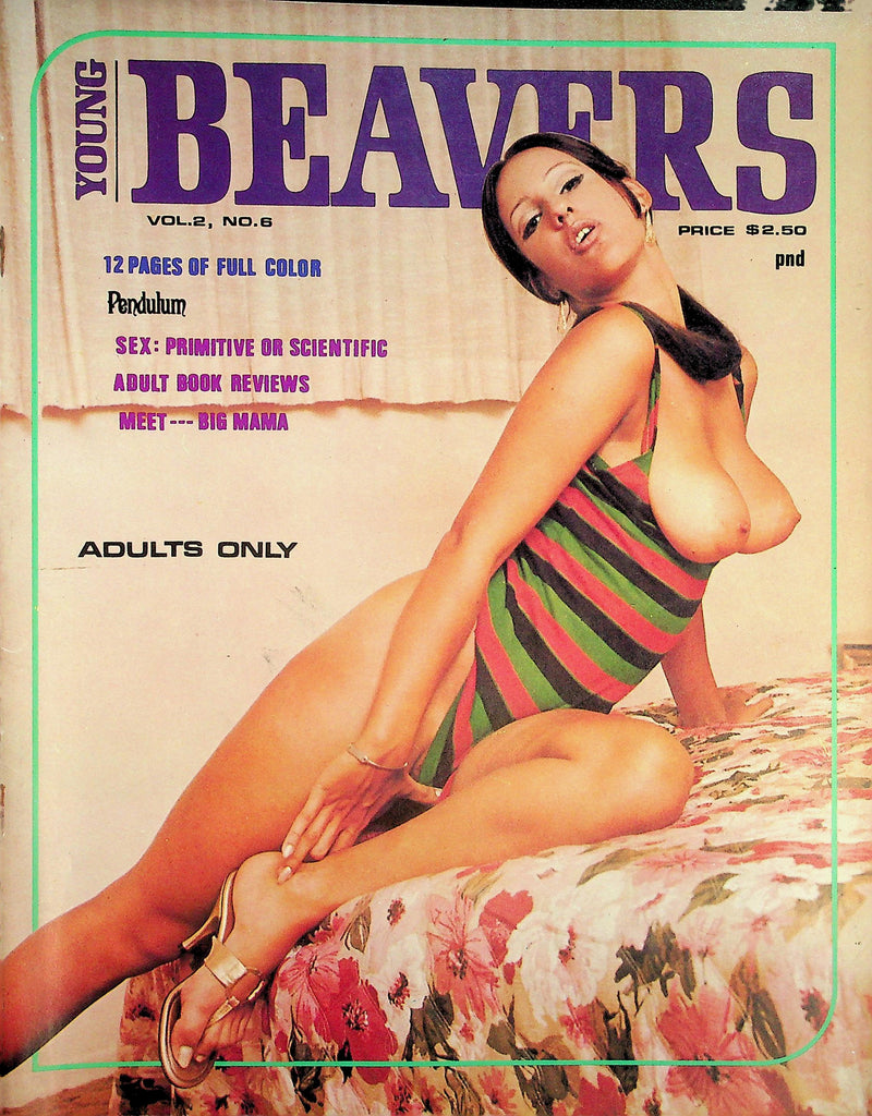 Young Beavers 18+ Magazine   Lacy Lucy  February 1969    082326lmp-GSC