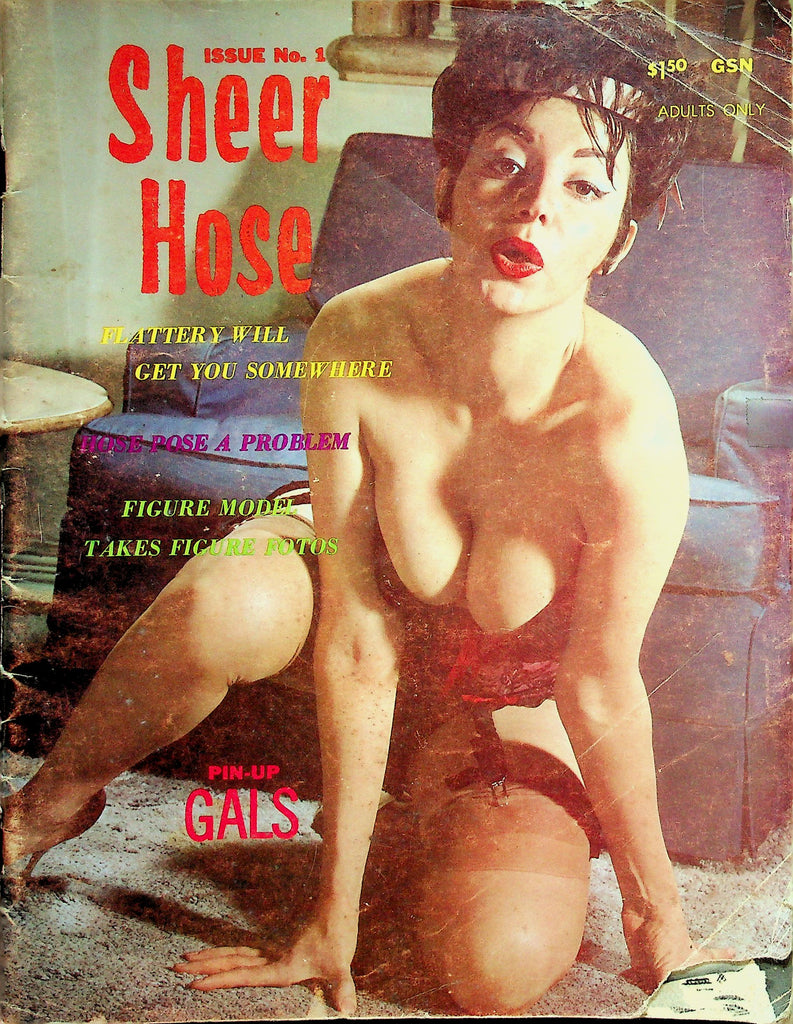 Sheer Hose Magazine   Pin-Up Gals & Hose    #1 1964     041126lmp