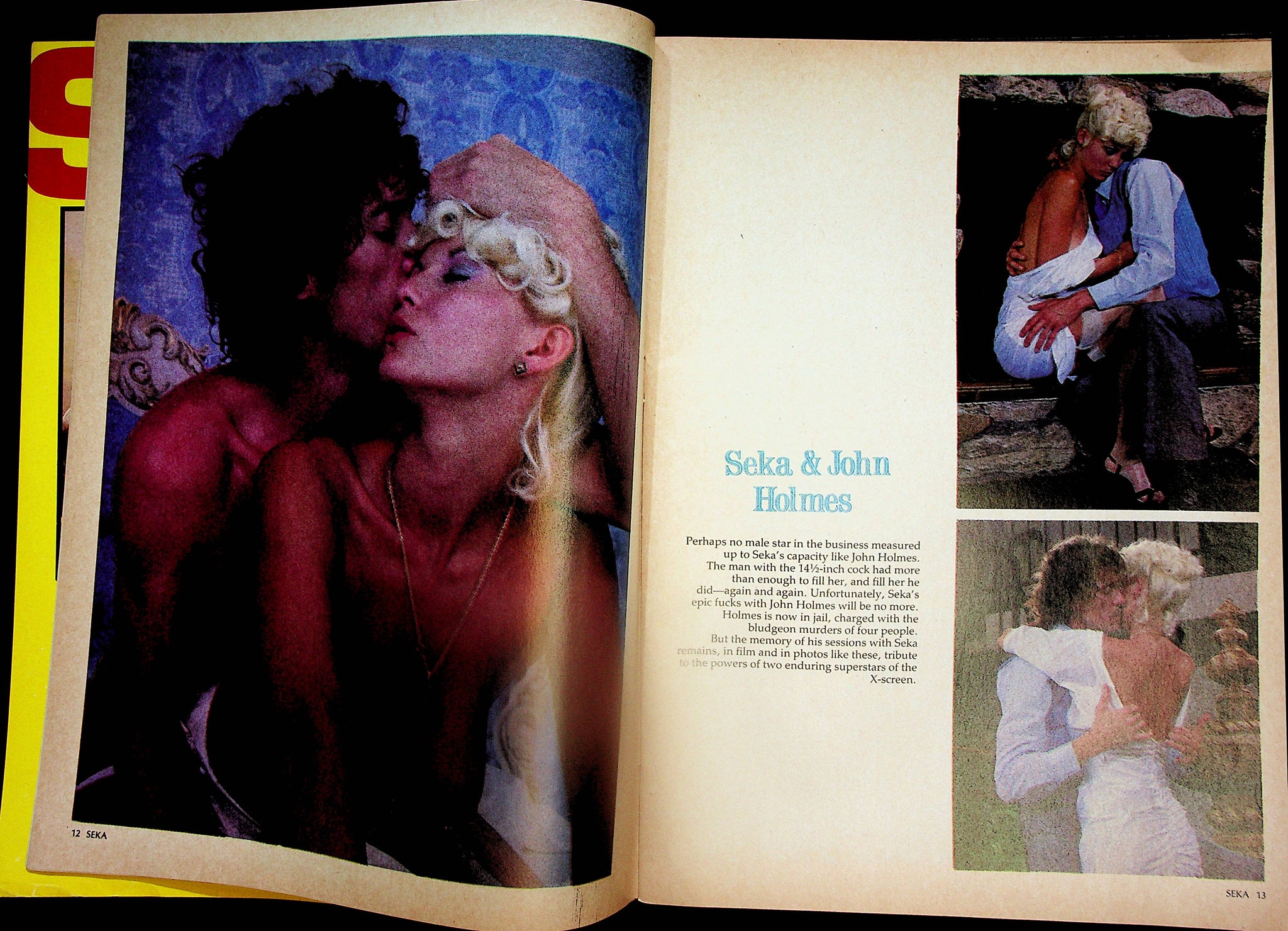 Seka! The Platinum Princess Magazine 108 Pages! All Seka / Seka & John ...