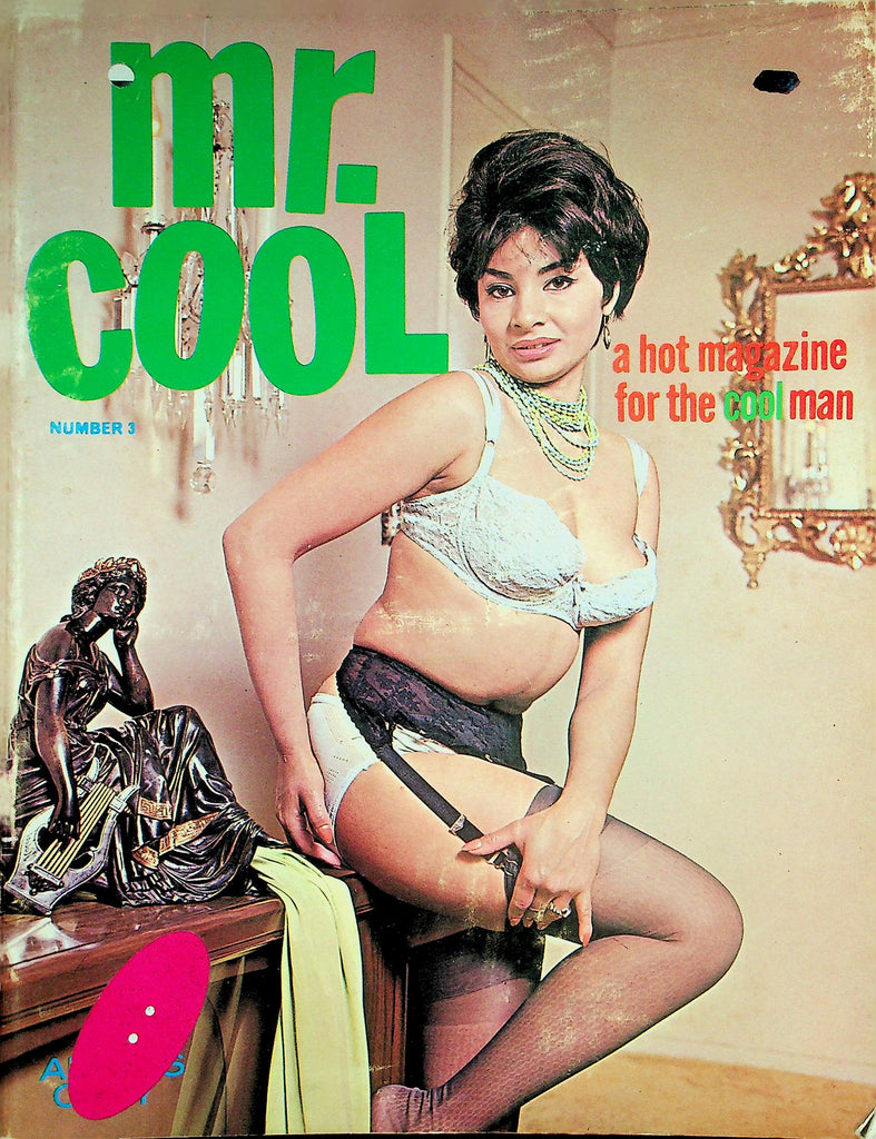 Mr. Cool Magazine  Beautiful Nude Models  #3 1971    060226lmp-GSC