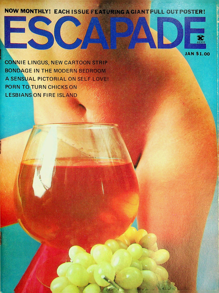 Escapade Magazine   Centerfold Sex Tease Suzy  January 1973    092626lmp-GSC