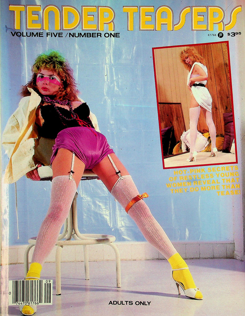 Tender Teasers Magazine  Caronne, Alyson and More! vol.5 #1 1985   061926lmp-GSC