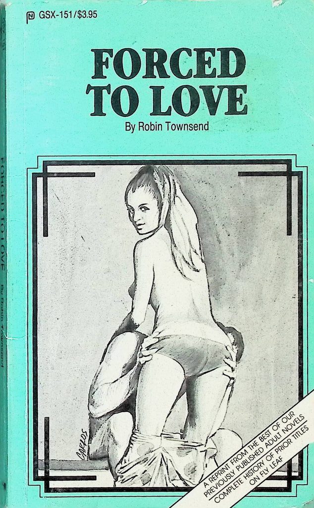 To Love by Robin Townsend GSX-151 1989 Reprint American Art Enterprises Adult Novel-050124AMP