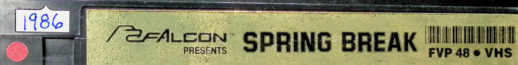 Spring Break FVP48 1986 Chad Douglas, Cory Monroe, Kevin Wiles Falcon Gay Male VHS 100124AMPVHS