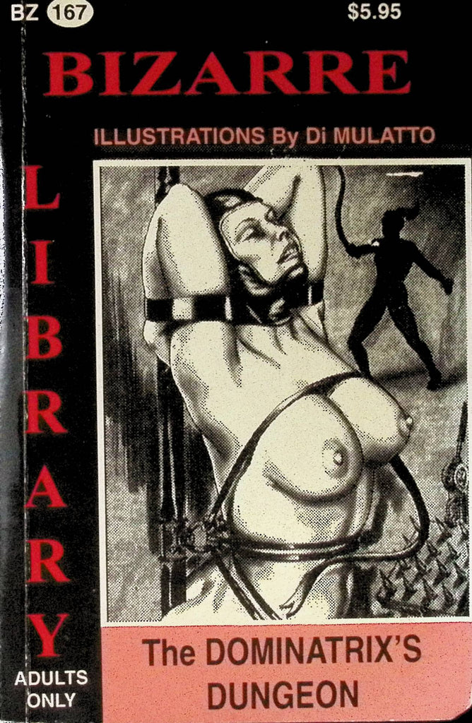 The Dominatric's Dungeon BZ-167 1997 Bizarre Library Illustrations by Di Mulatto Star Distributors Adult Novel-042524AMP