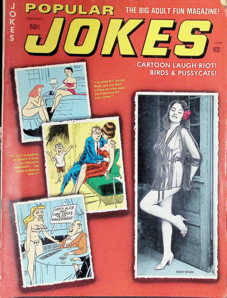 Popular Jokes Magazine November, 1970s Cartoon Laugh Riots Birds & Pussycats 092126LLP