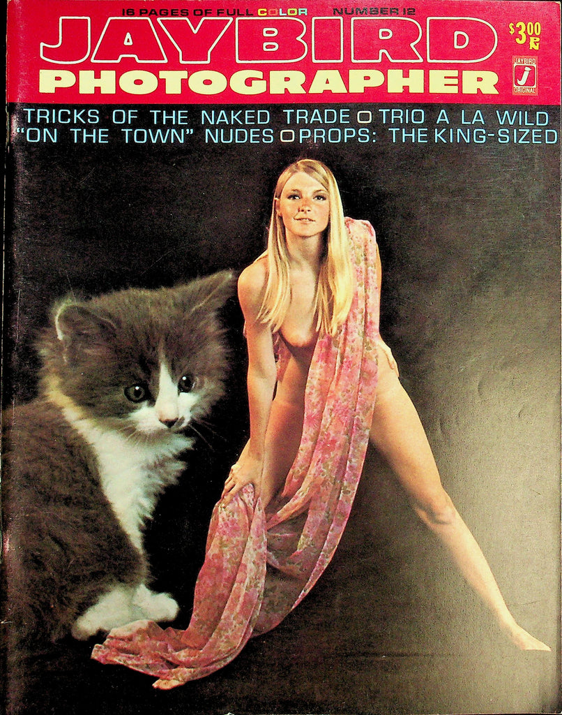 Jaybird Photographer Magazine  Tricks Of The Naked Trade  #12  1968  070926lmp-GSC