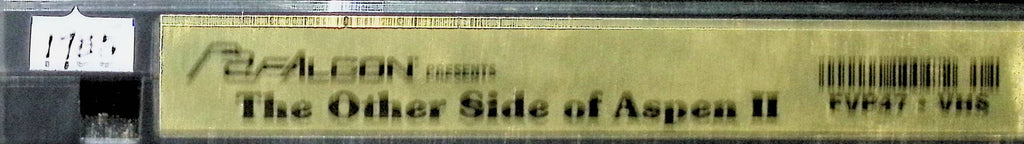 The Other Side of Aspen 2 FVP47 1985  Falcon Gay Male VHS 100124AMPVHS