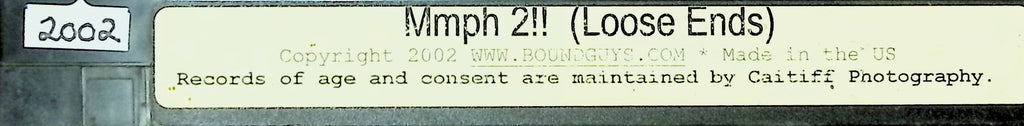 Mmph 2!! (Loose Ends) Bound Guys Gay VHS 2002 102924JKVHS4