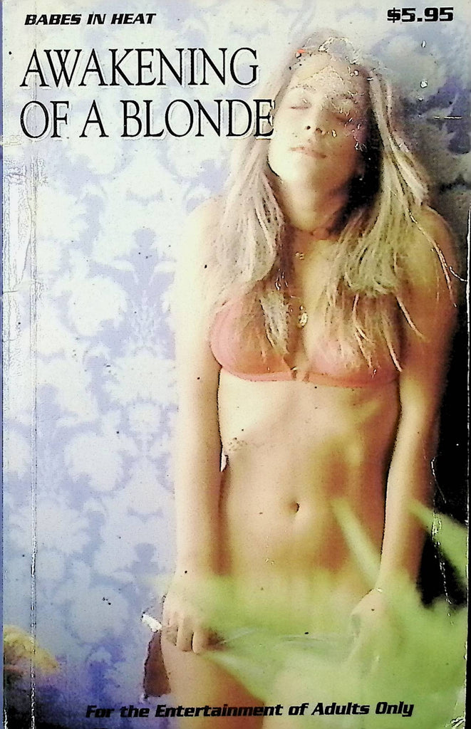 Awakening of a Blonde BH-126 1995 Babes in Heat Star Dist Adult Paperback Novel-082924AMP