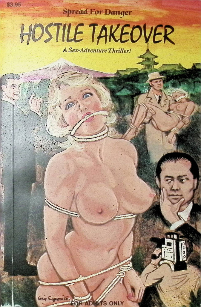 Hostile Takeover Sex Adventure Thriller 1991 Star Adult Novel-042424AMP