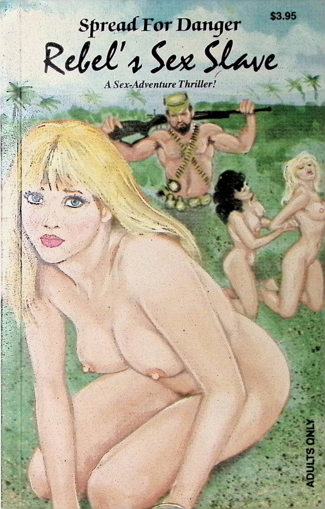 Rebel's Sex Slave A Sex Adventure Thriller Spread for Danger 1991 Star Adult Novel-042424AMP