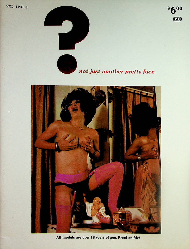 ? Not Just Another Pretty Face Tranny Magazine  Covergirl Reiko   vol.1 #3  1980's     121623lm-p