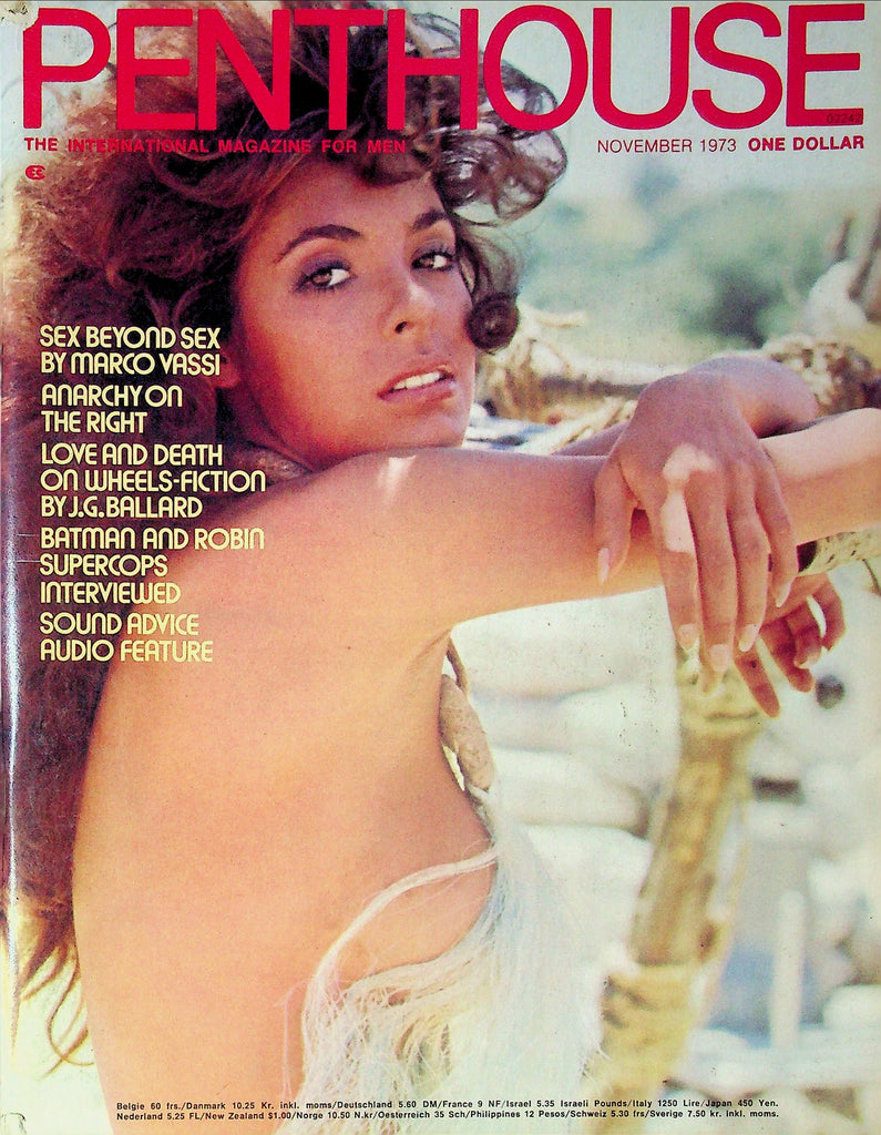 Penthouse Magazine Batman And Robin Supercops November 1973 083025RP-
