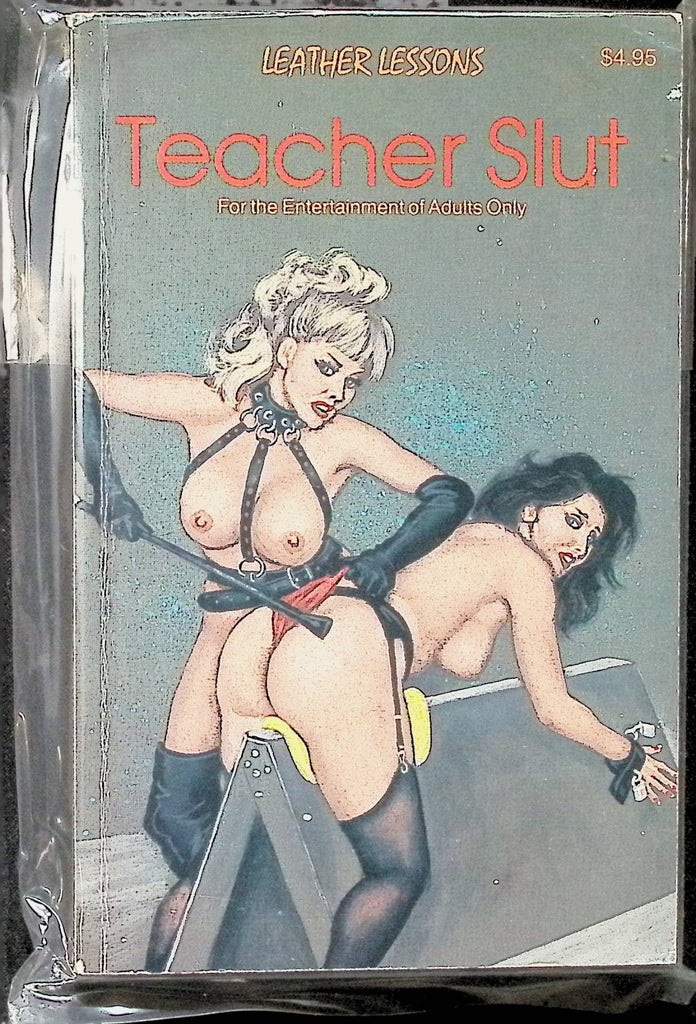 Teacher Slut Leather Lessions LS-103 Night Heat Star Distributors Adult Erotic Paperback Novel-071524AMP