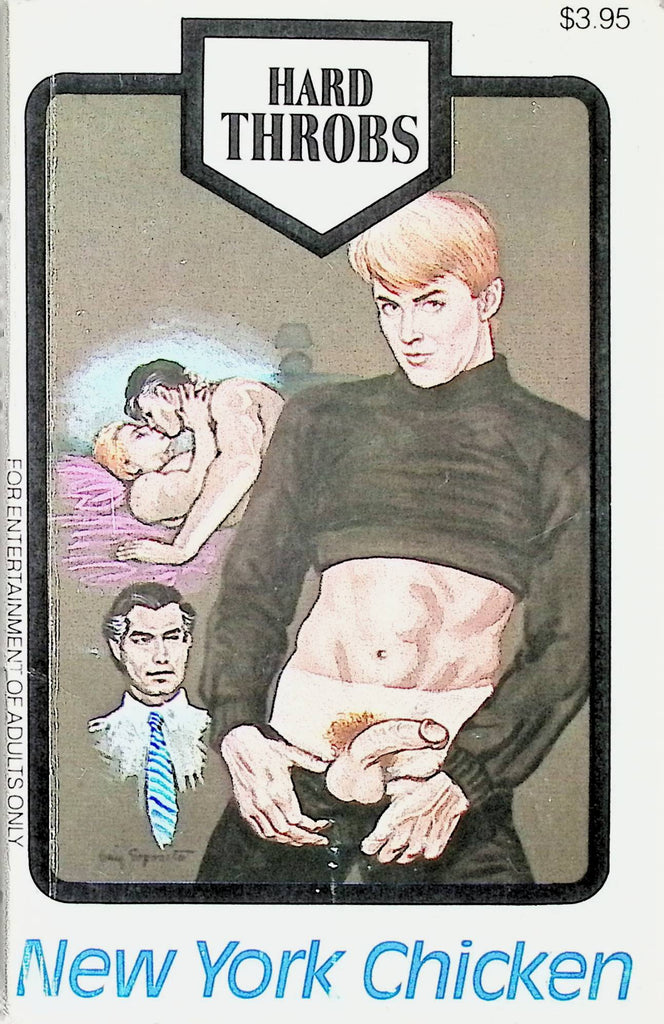 New York Chicken Hard Throbs HT-137 1991 Star Distributors Gay Adult Erotic Paperback Novel-052224AMP