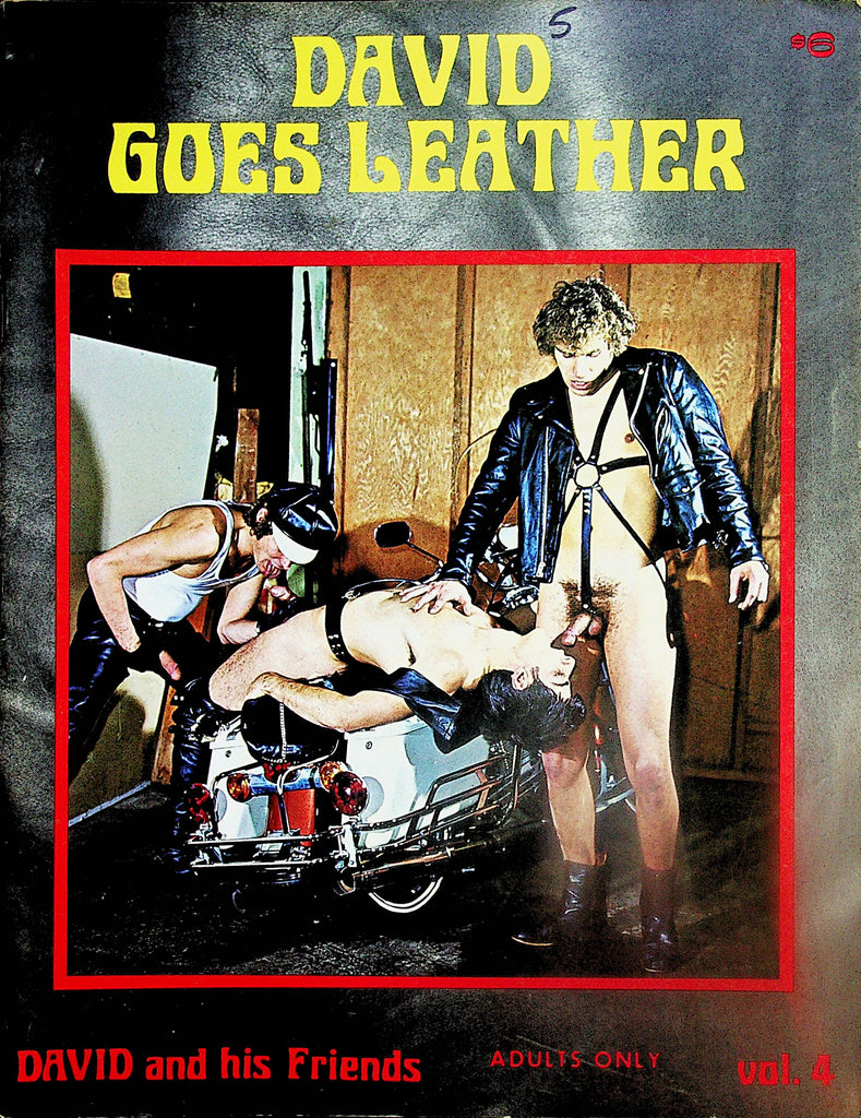 David Goes Leather Gay Magazine   David and his Friends  vol.4 1970's       112224lm-p