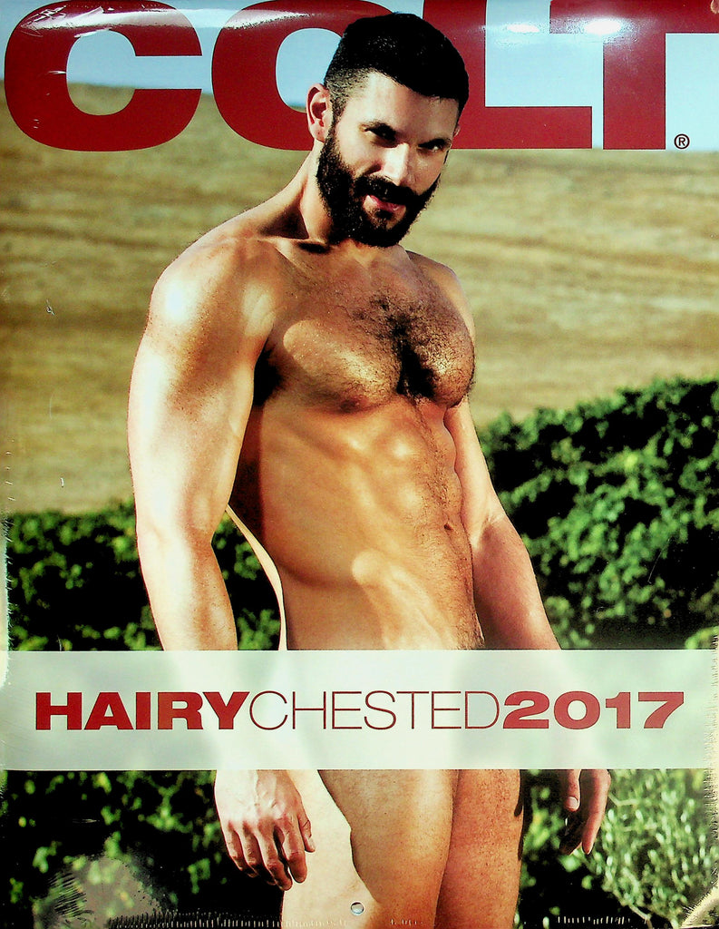 Colt Hairy Chested Gay Interest 2017 Wall Calendar  New/Sealed     041726lmp