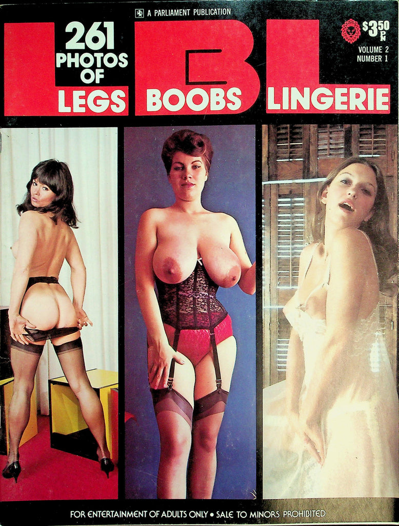 261 Photos Of Legs Boobs Lingerie Magazine  vol.2 #1  1975  Parliament Publication     060226lmp-GSC