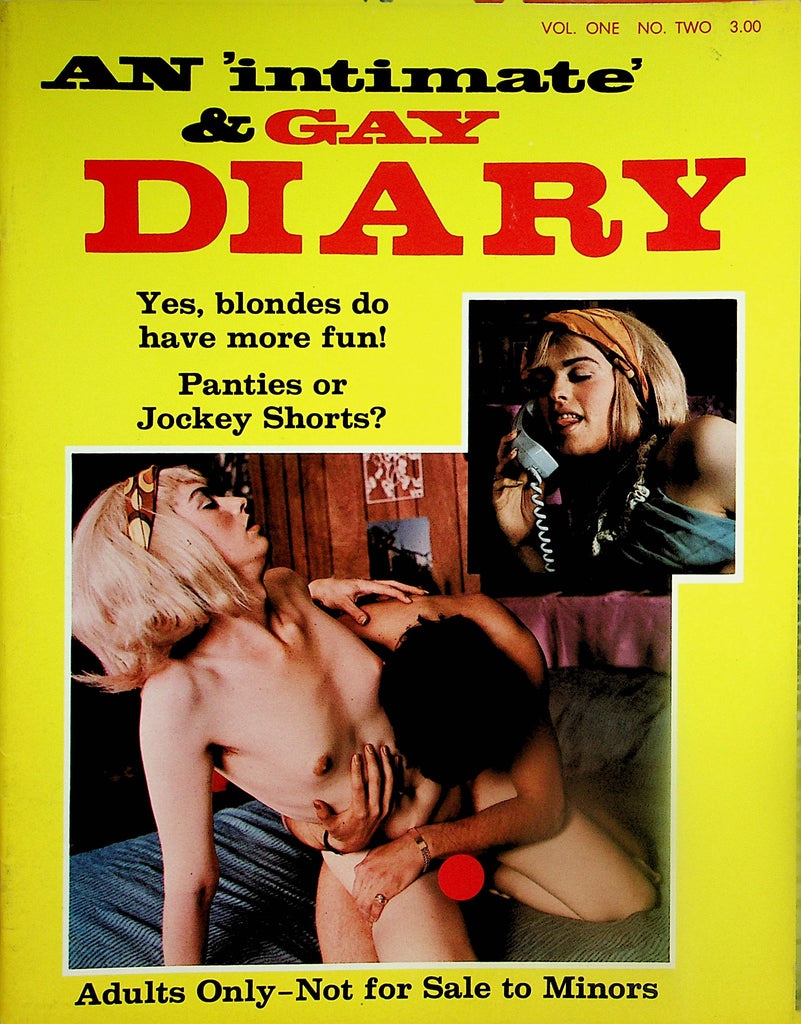 An Intimate & Gay Diary  Tranny Magazine  Yes, Blondes Do Have More Fun  vol.1 #2  1970  052424lm-p2