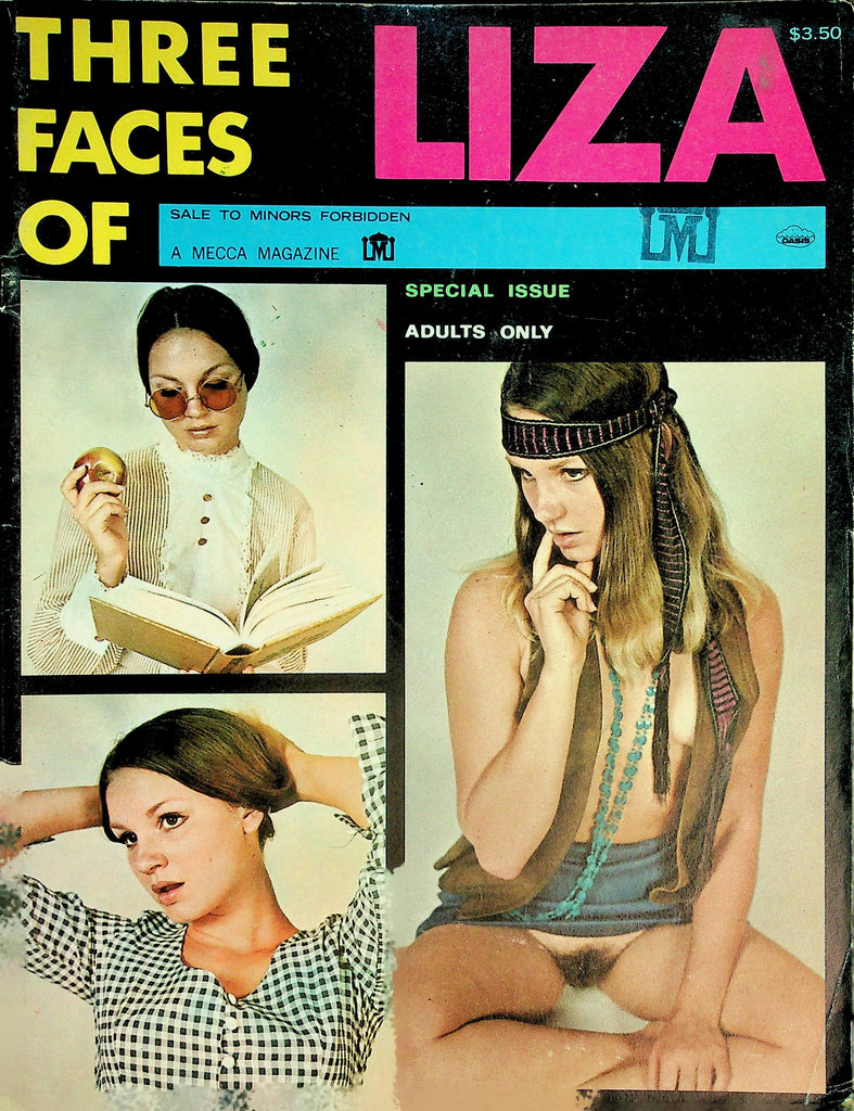 Three Faces Of Liza Magazine  #1 1970's  Special Issue     012826lmp